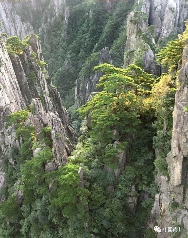 清宫Q传